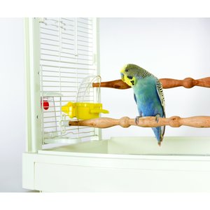 Caitec Featherland Paradise Cage Mounted Hooded Cup Bird Toy, Small