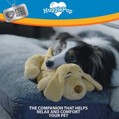 Show full view: Pets Know Best HuggiePup Plush Dog Toy, Hound slide 5 of 6