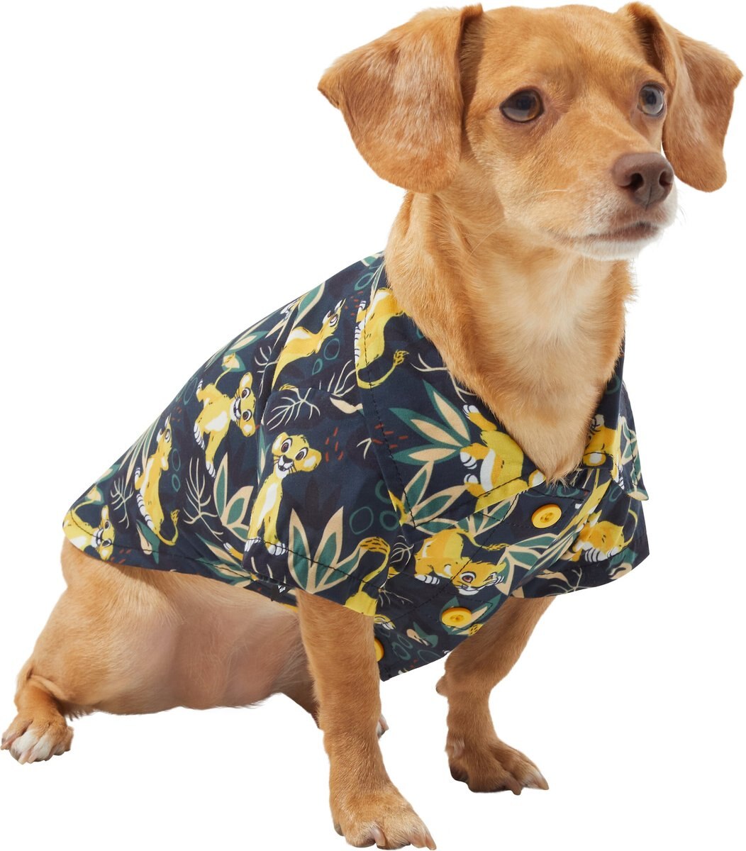 Chewy dog outlet jerseys