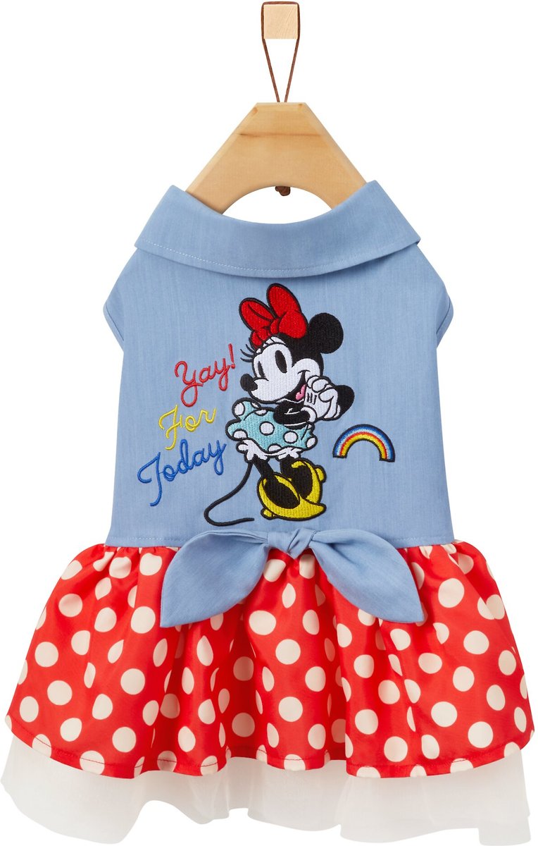 Disney minnie hotsell mouse clothes