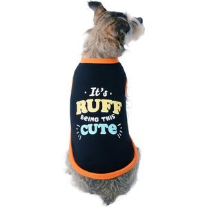 Frisco It's Ruff Being This Cute Dog & Cat T-Shirt, Small