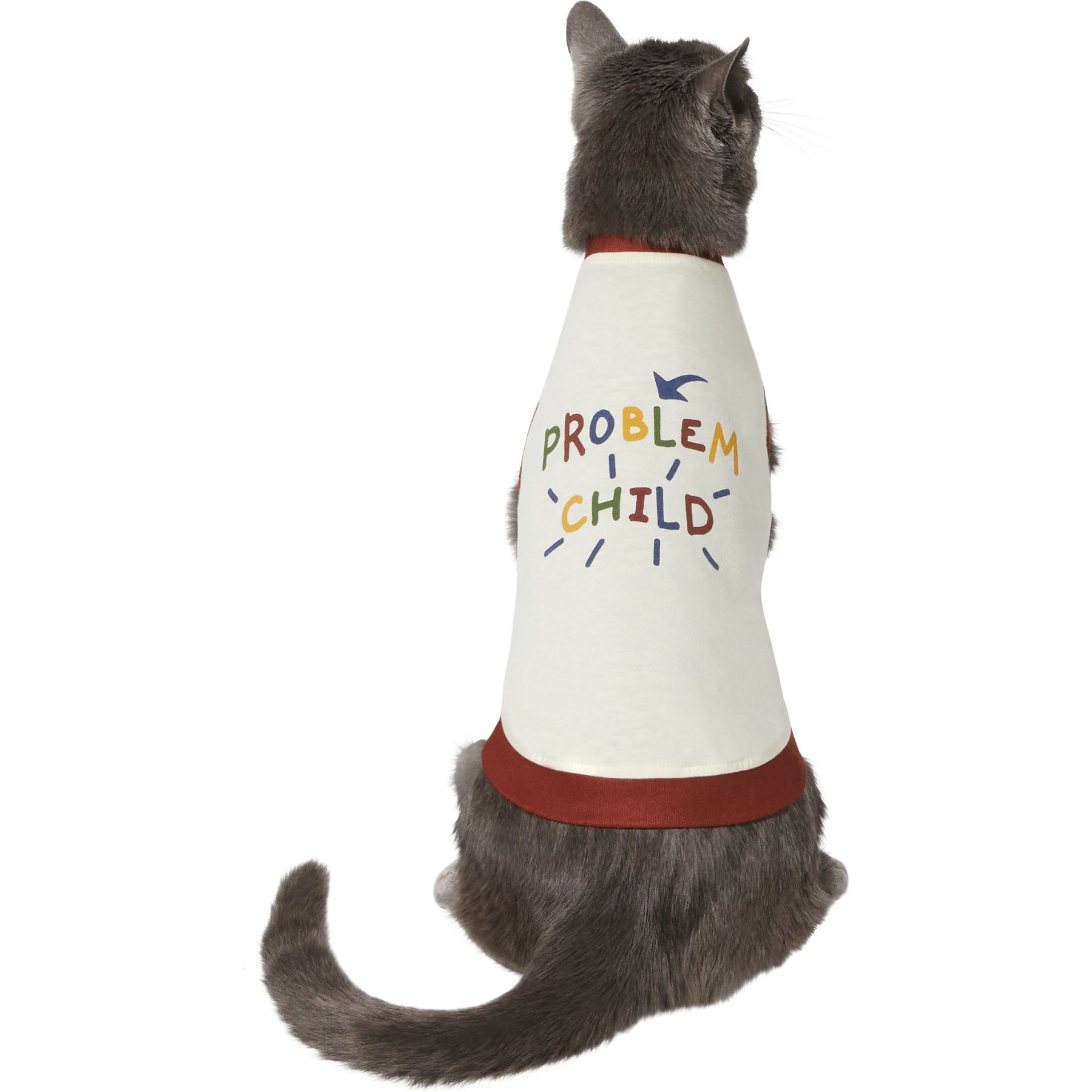 Chewy store cat clothes