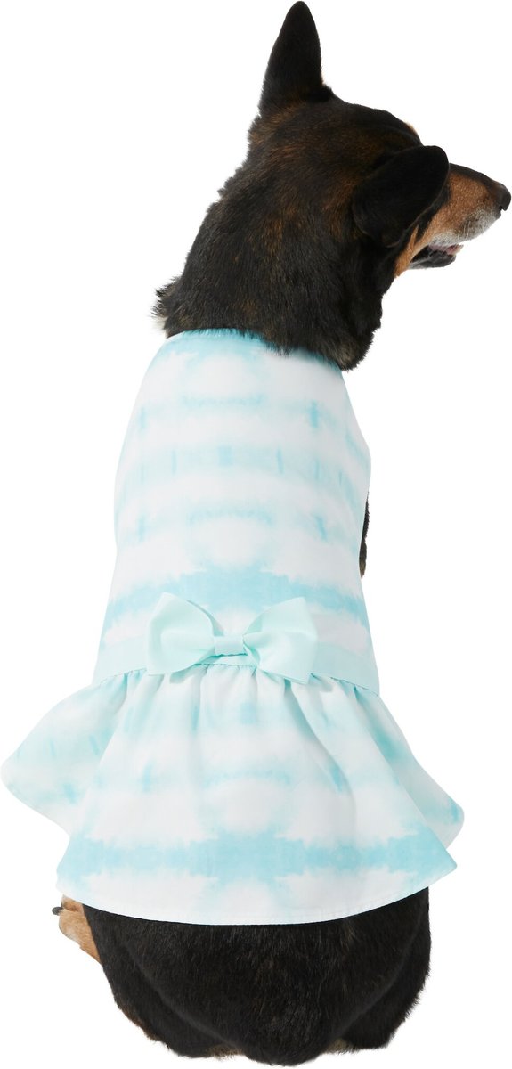 Green Tie dye Dog Dress