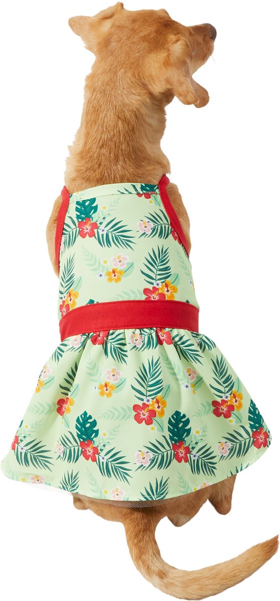 Chewy dog shop dresses