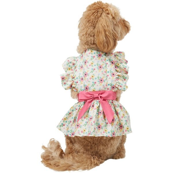 Wagatude Flower Collared Wrap Dog Dress