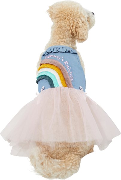 Frisco Rainbow Denim Dog & Cat Dress, Large slide 1 of 6