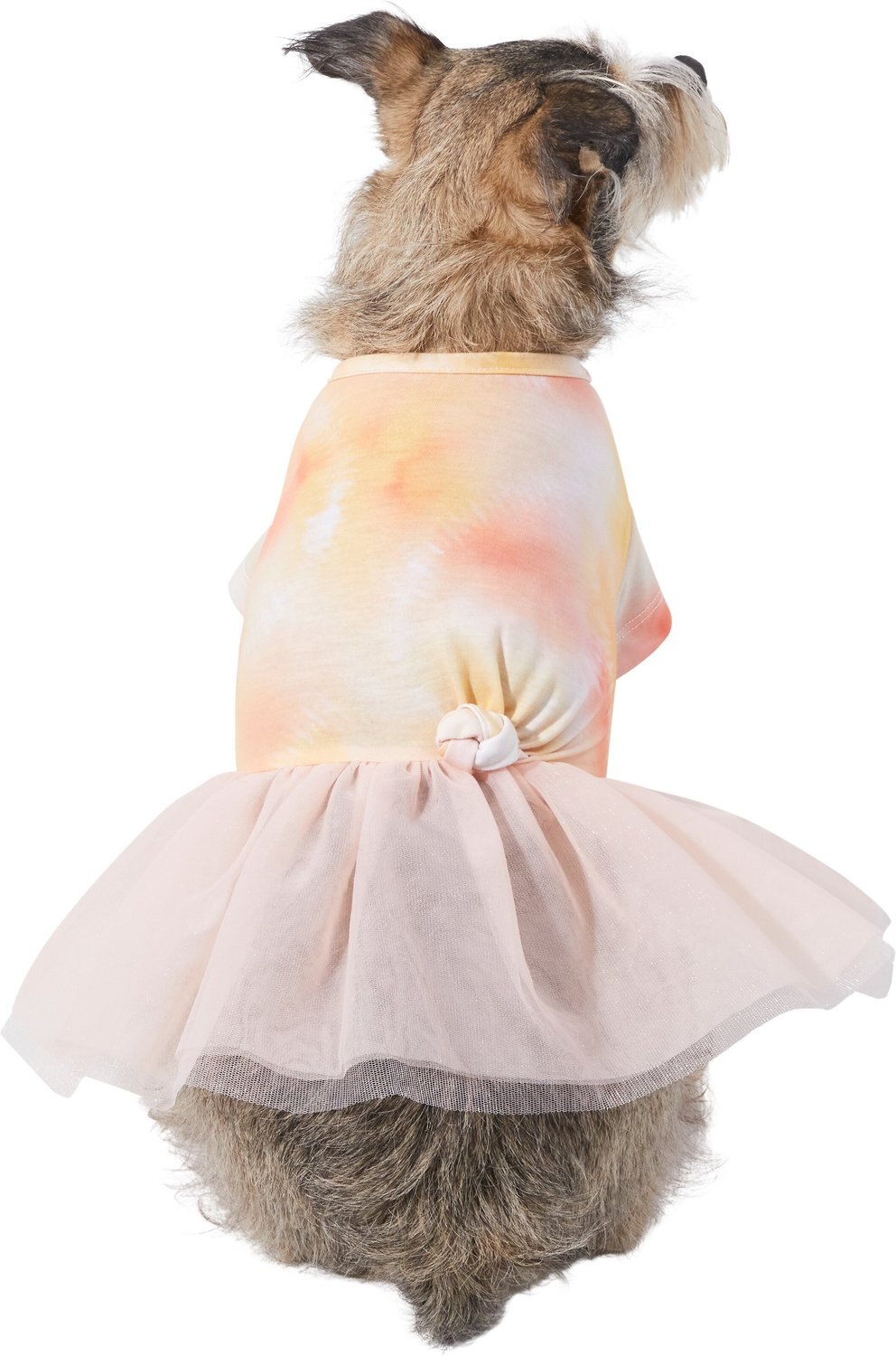 Frisco Tie Dye Pink Tutu Dog & Cat Dress