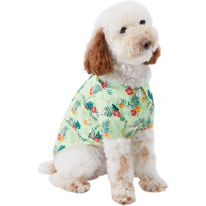 Chewy hotsell dog shirts