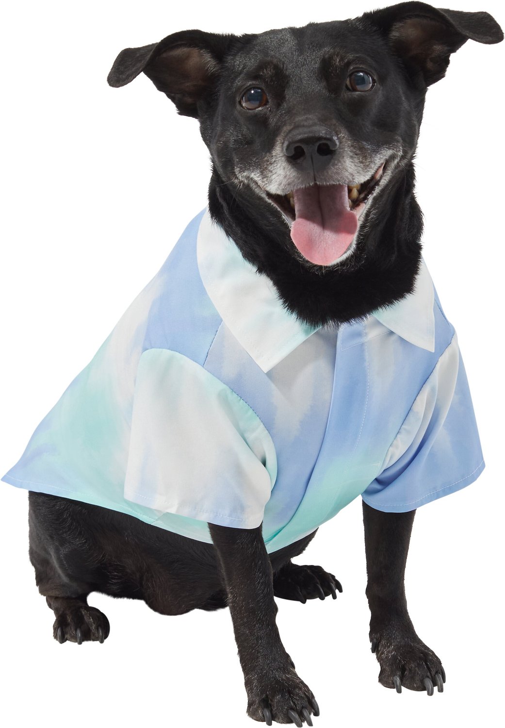 Chewy V Tie Dye Dog Shirt - Blue - Supreme Paw Supply