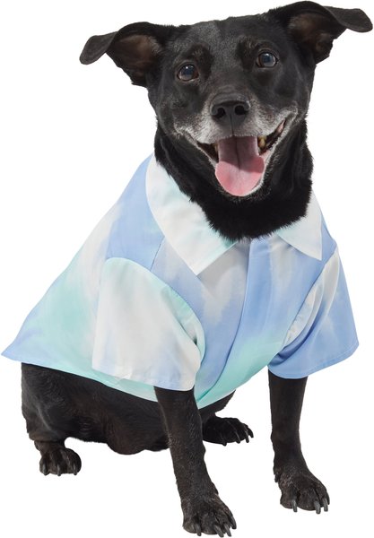 Frisco Blue Tie Dye Dog & Cat Shirt, Medium slide 1 of 8