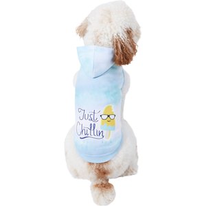 Frisco Just Chillin Dog & Cat Hoodie, Small