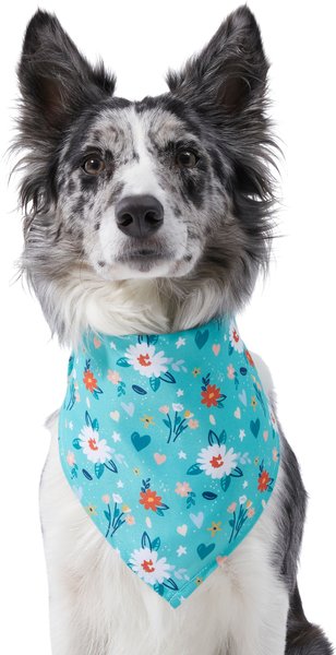 Frisco Spring Floral Dog & Cat Bandana, Medium/Large slide 1 of 7