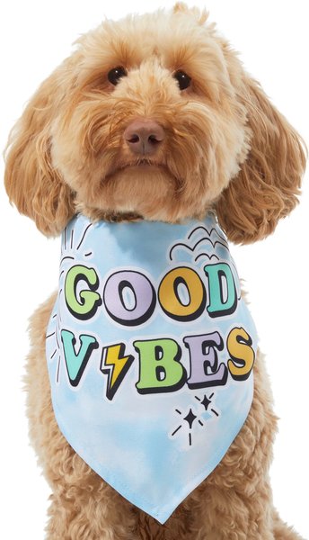 Frisco Good Vibes Dog & Cat Hoodie
