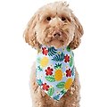 Frisco Hawaiian Pineapple Dog & Cat Bandana, Medium/Large
