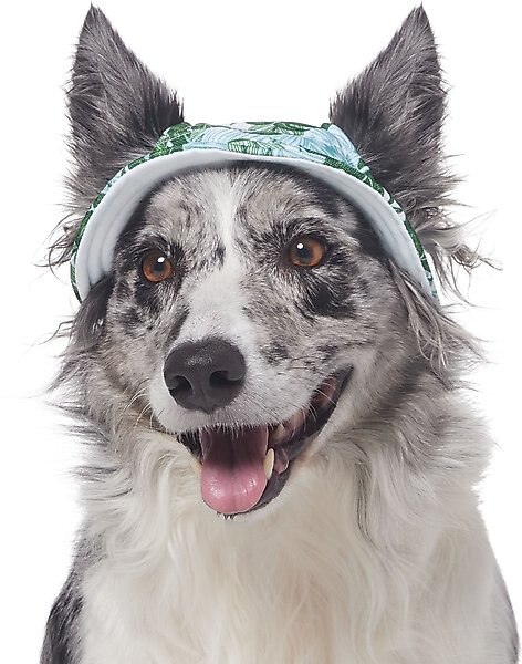 Frisco Palm Leaf Short Brimmed Bucket Dog & Cat Hat, Medium/Large slide 1 of 7