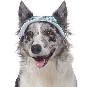 Frisco Palm Leaf Short Brimmed Bucket Dog & Cat Hat, Medium/Large