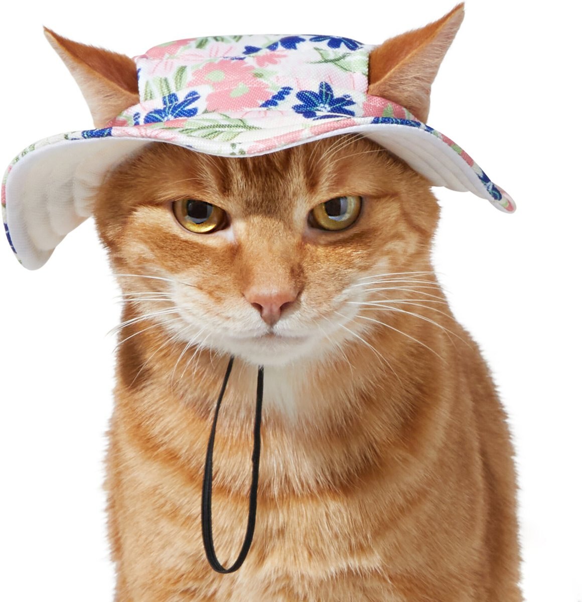 Bucket hat for sales cats