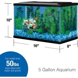 Tetra Glass Aquarium, 5.5-gal