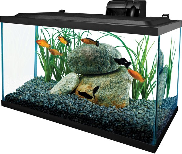 Tetra Glass Aquarium, 10-gal slide 1 of 5
