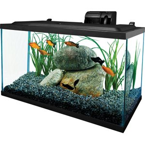 TETRA Glass Aquarium, 5.5-gal 