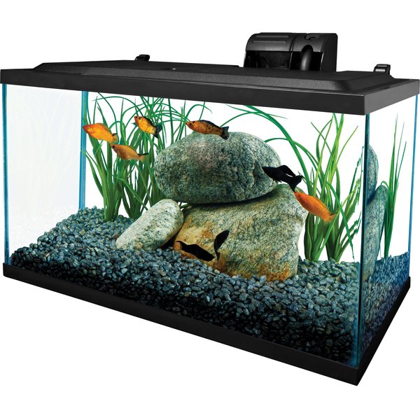 Small Betta Fish Tank, Aquarium Stater Kit With Glass Bead, Fish