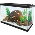 Tetra Glass Aquarium, 20-gal