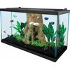 Goldfish Tanks & Aquarium Kits