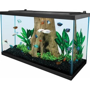 Tetra Glass Aquarium, 29-gal