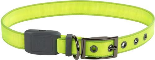 Show full view: Nite Ize Rechargeable LED Dog Collar, Lime, X-Large slide 5 of 10