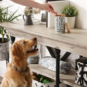 Bone Dry Ceramic Show Dog Treat Canister, Gray