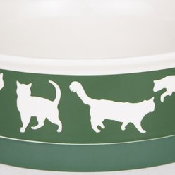 Bone Dry Meow Set Cat Bowl, Hunter Green, Medium slide 2 of 8