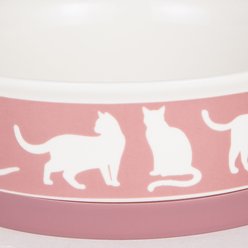 Bone Dry Meow Set Cat Bowl, Rose, Small slide 2 of 8