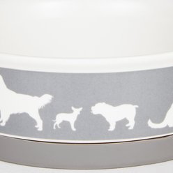 Bone Dry Show Set Dog Bowl, Gray, Large slide 2 of 8