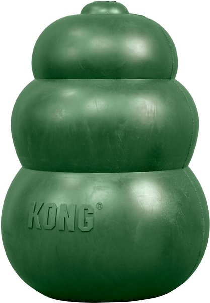 kong green toy