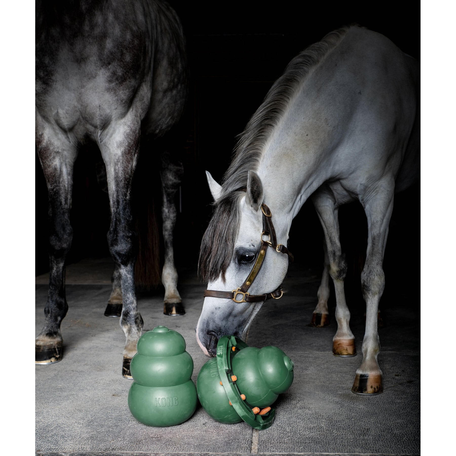 The Kong Wobbler for Horses [Toy Review] [How To] - Enriching Equines