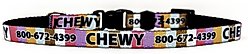 Yellow Dog Design Multi-Stripe Polyester Personalized Standard Dog Collar, X-Small