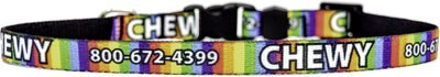 Yellow Dog Design Rainbow Stripes Polyester Personalized Standard Dog Collar, slide 1 of 1