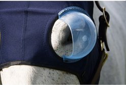 Equine-Medi Lens Eye Protector Right Eye Medical Horse Hood, Small slide 2 of 3