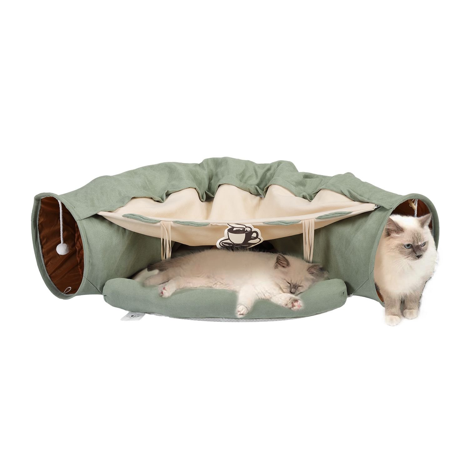 Chewy cat sale tunnel