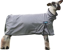 Weaver Livestock ProCool Reflective Piping Sheep Blanket, Gray, Small slide 1 of 2