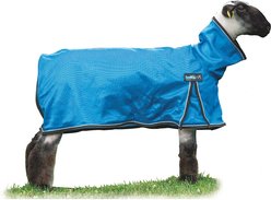 Weaver Livestock ProCool Reflective Piping Sheep Blanket, Blue, Medium