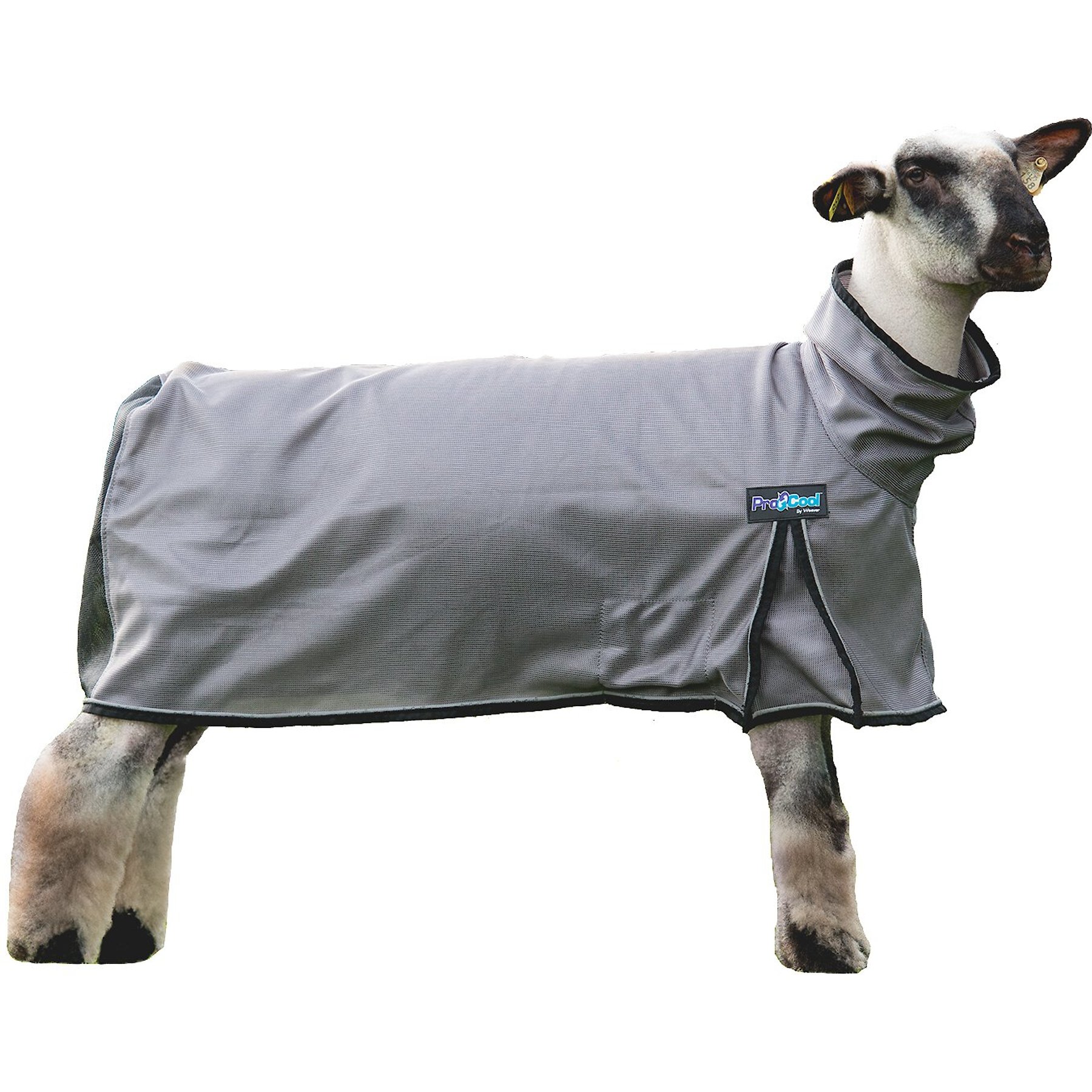 Weaver Livestock ProCool Reflective Piping Sheep Blanket, Gray, Large