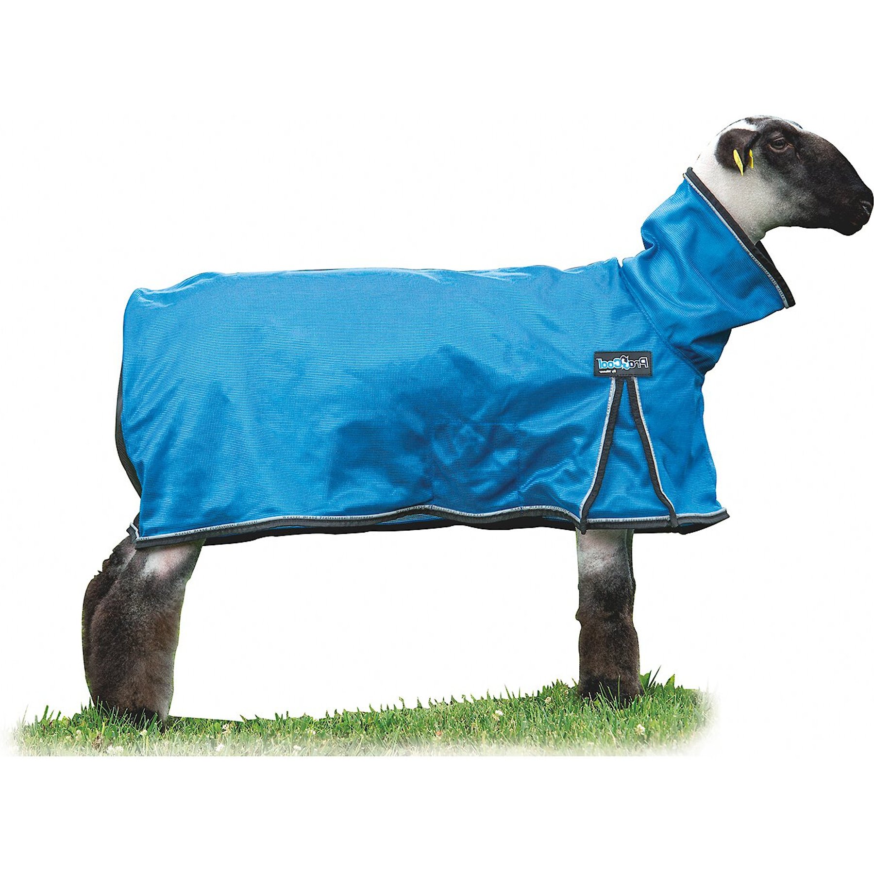 Weaver Livestock ProCool Reflective Piping Sheep Blanket, Blue, X-Large