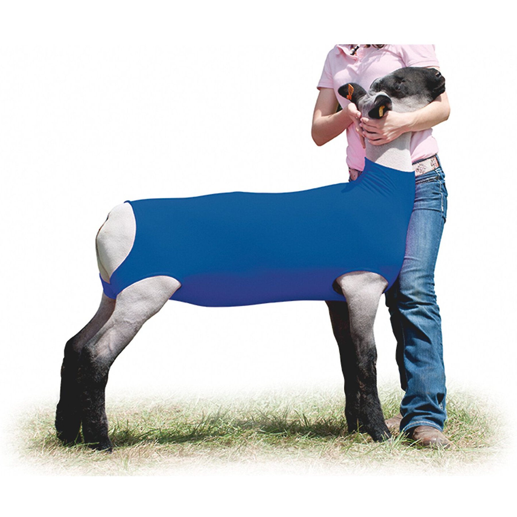 Weaver Livestock Cotton Lamb Tube, Blue, Medium