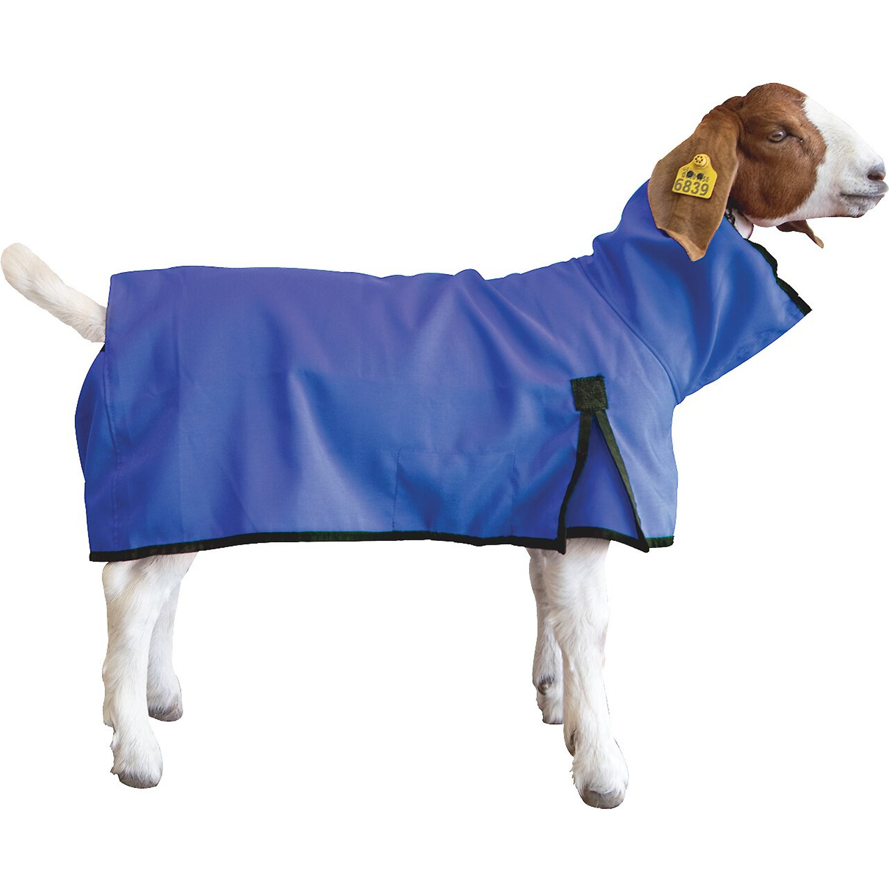 Weaver Livestock Goat Blanket, Blue, Medium