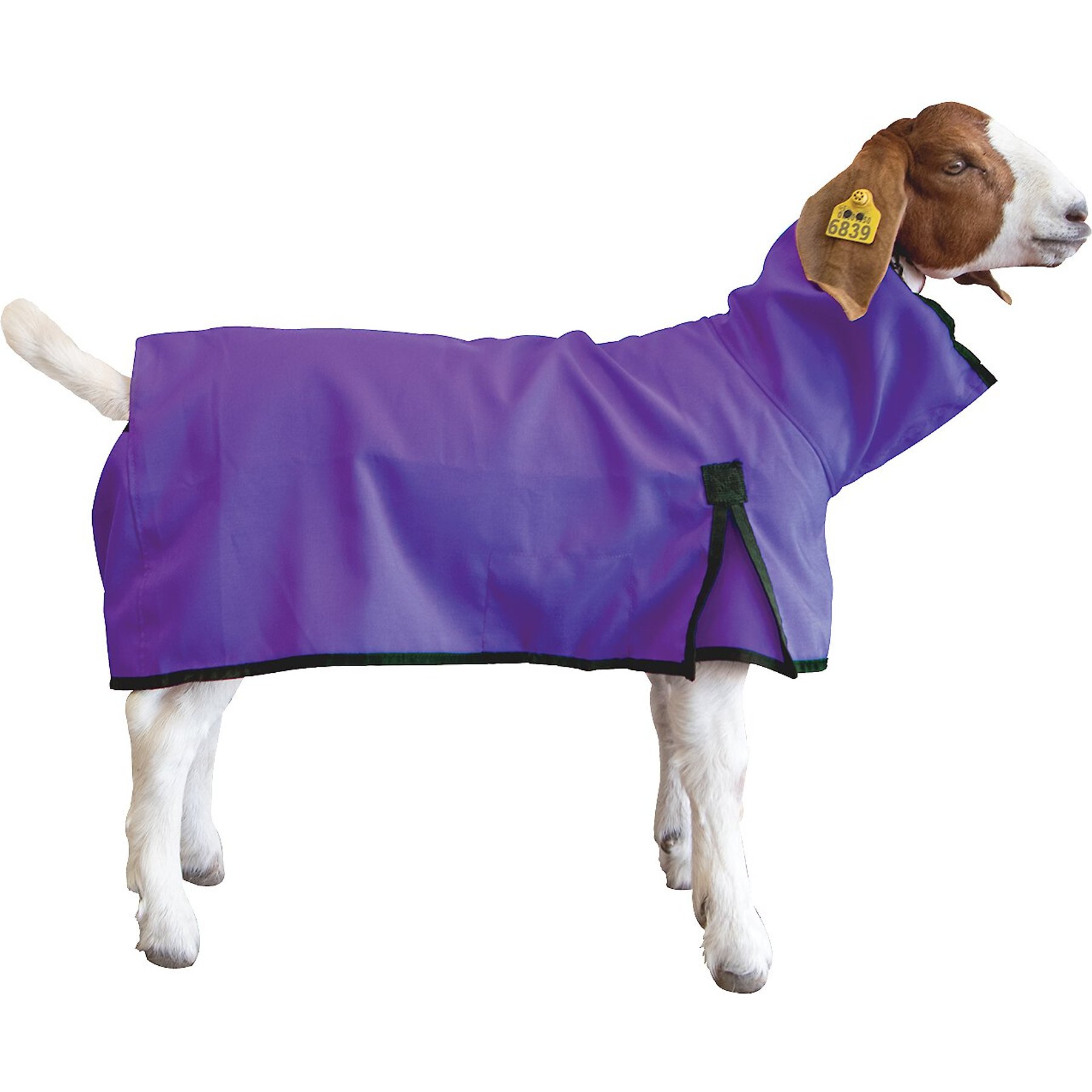 Weaver Livestock Goat Blanket, Purple, Medium