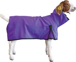 Weaver Livestock Goat Blanket, Purple, X-Large