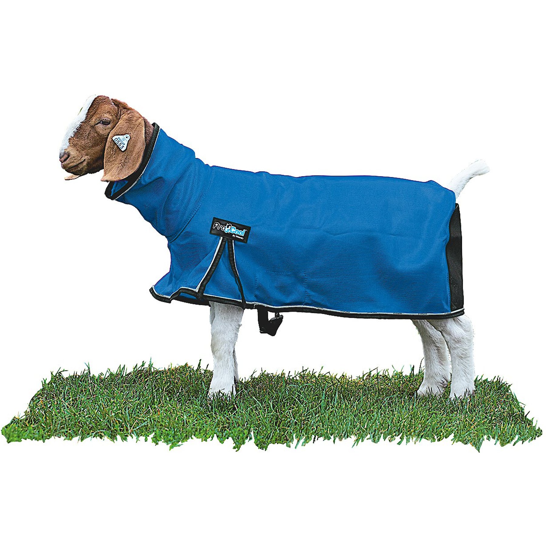 Weaver Livestock ProCool Goat Blanket, Blue, X-Small