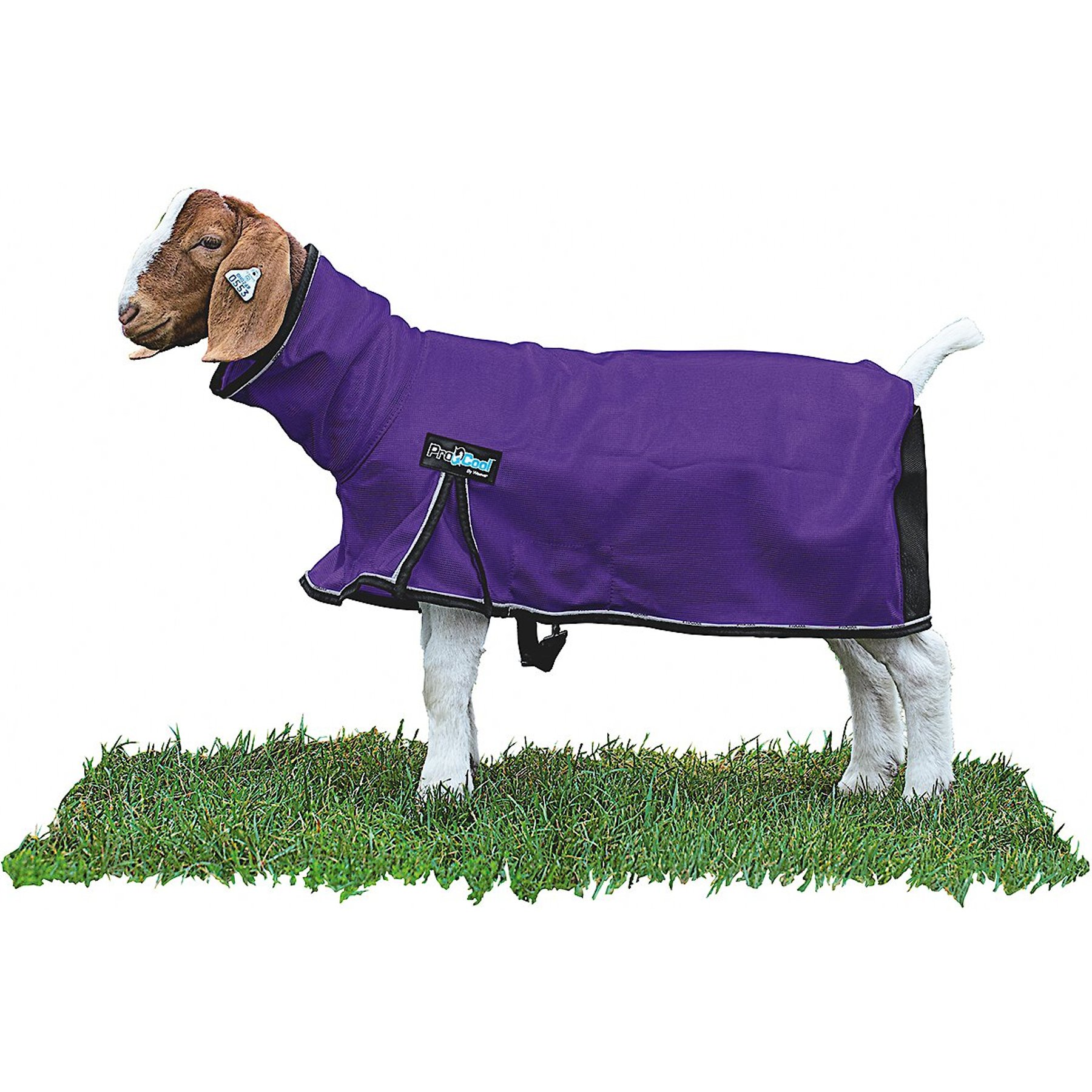 Weaver Livestock ProCool Goat Blanket, Purple, Large