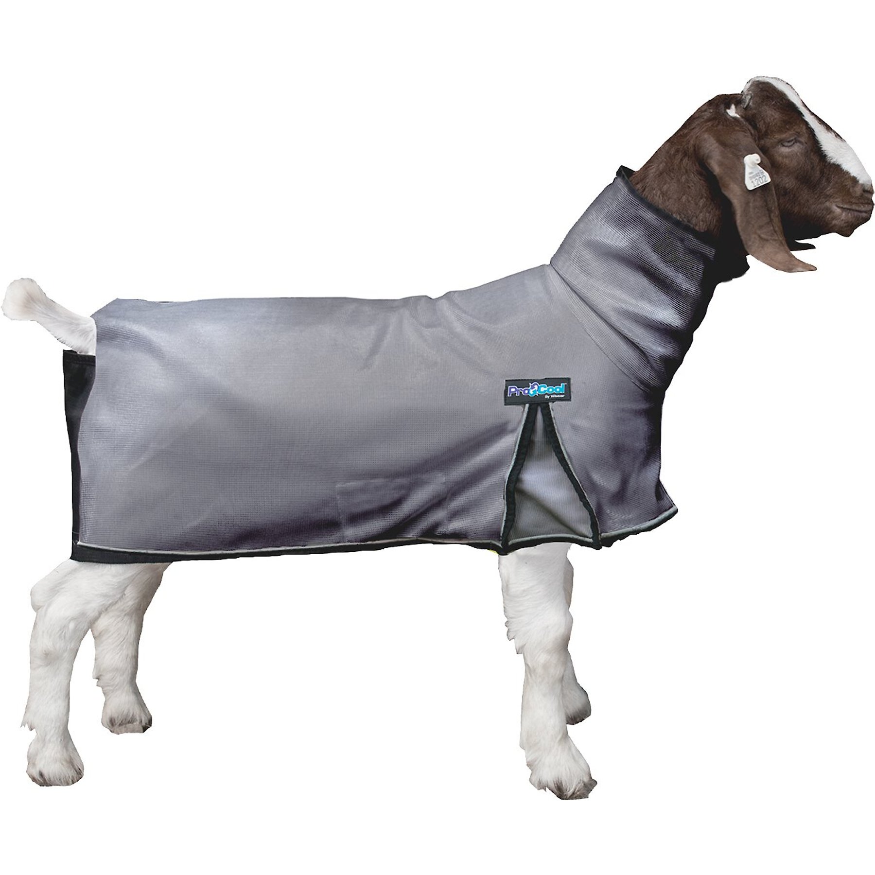 Weaver Livestock ProCool Goat Blanket, Gray, Large